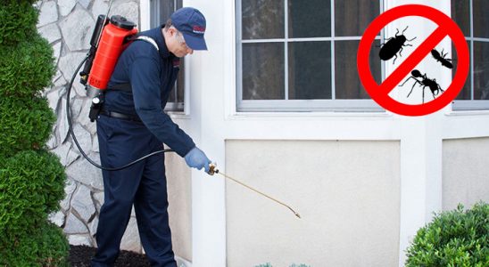 Sivrice Hamam Böceği İlaçlama böcek ilaçlama ve haşere kontrolü — ilaclama-tr.com